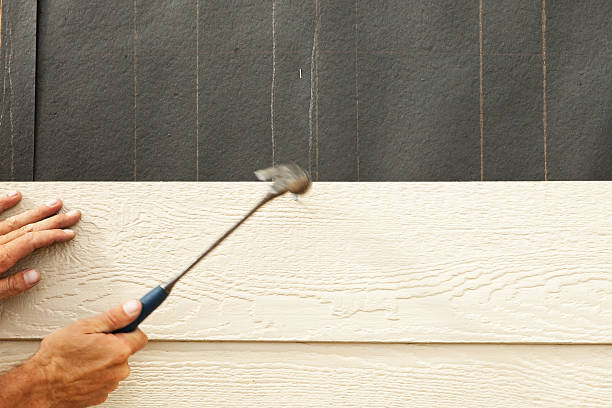 Affordable Siding Repair and Maintenance Services in North Lakeport, CA